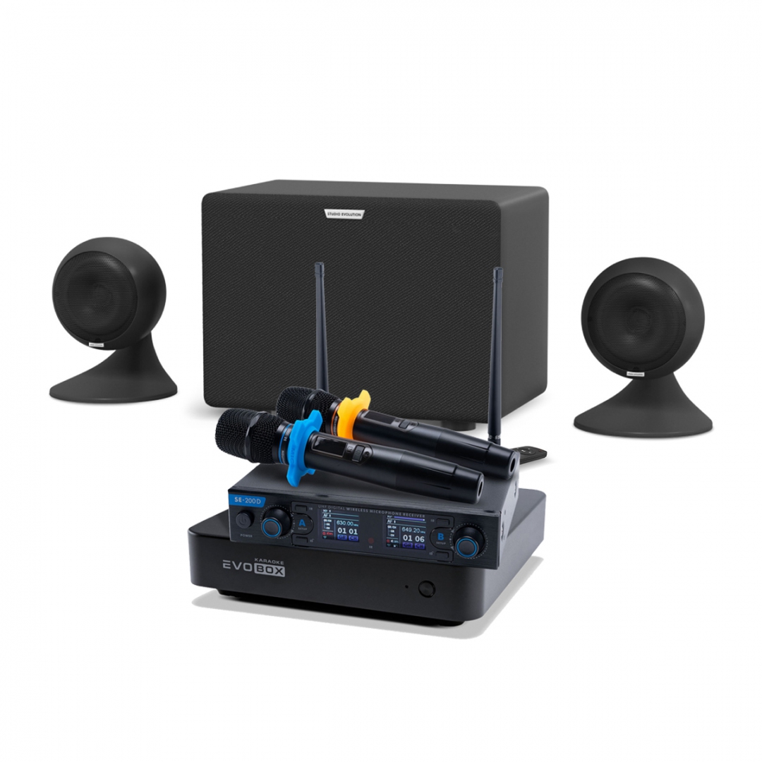 караоке-комплект EVOBOX + EvoSound Sphere 2.1 в Чите