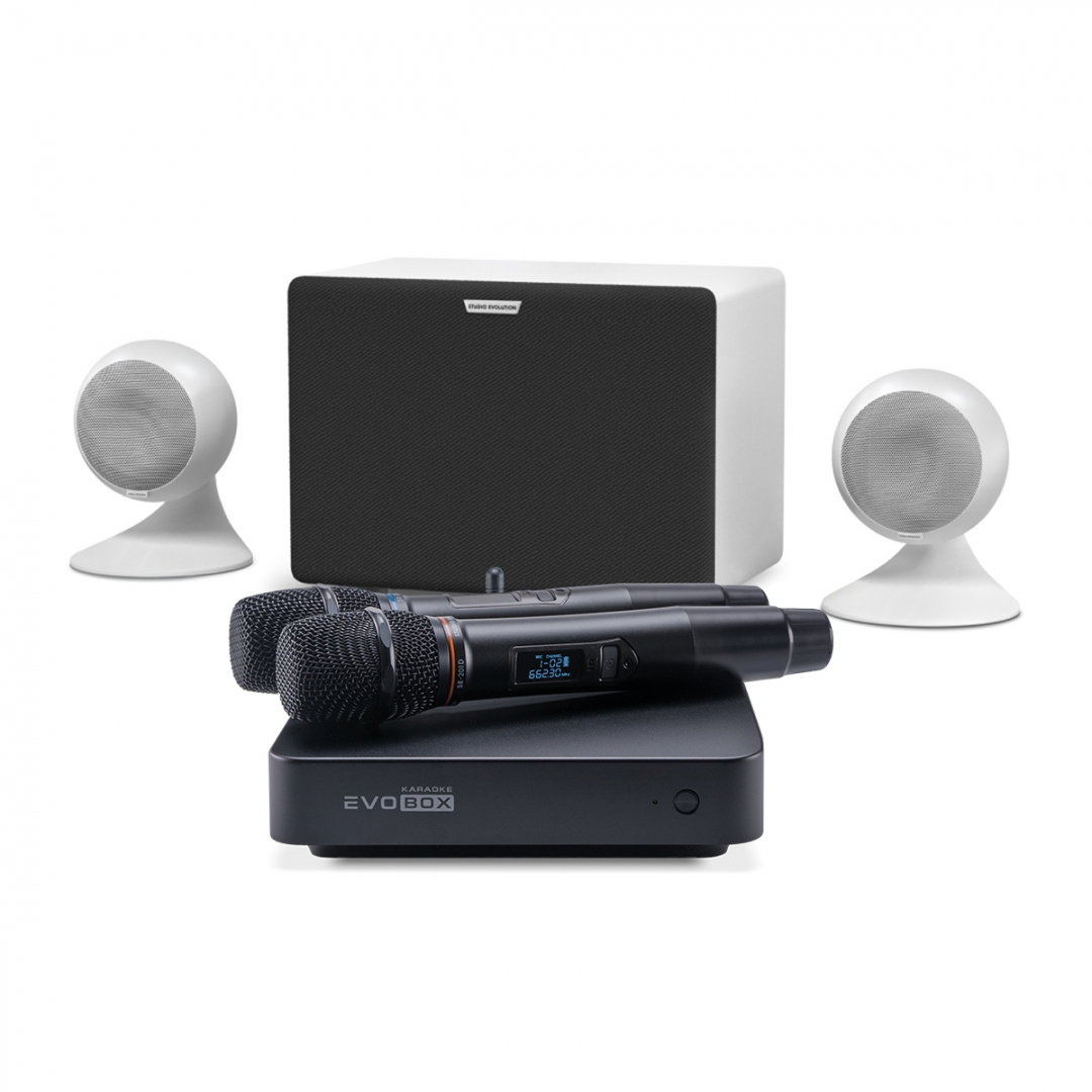 караоке-комплект EVOBOX Classic + EvoSound Sphere 2.1 в Чите