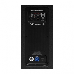Активная акустическая система AST-310A в Чите
