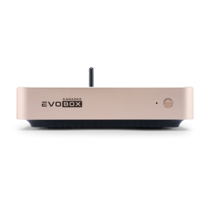 EVOBOX Classic караоке-система для дома в Чите