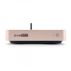 EVOBOX Plus караоке-система для дома в Чите