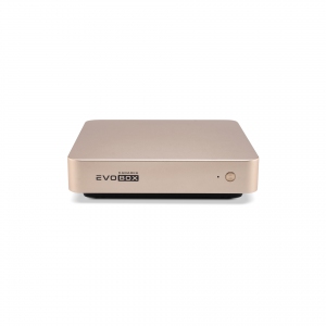 EVOBOX с микрофонами в Чите